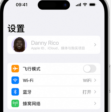 陵水appleID维修服务iPhone设置中Apple ID显示为灰色无法使用 