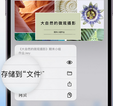 陵水apple维修中心分享iPhone文件应用中存储和找到下载文件