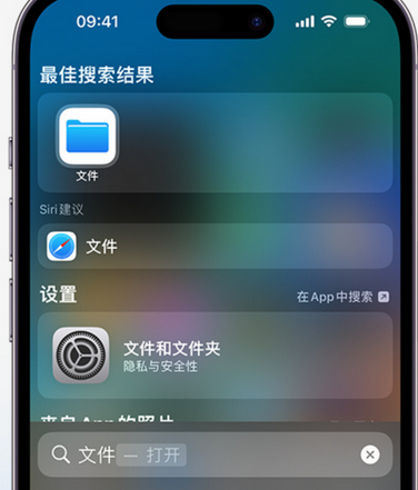 陵水apple维修中心分享iPhone文件应用中存储和找到下载文件 