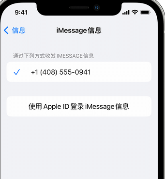 陵水apple维修iPhone上无法正常发送iMessage信息 