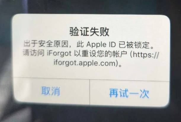 陵水iPhone维修分享iPhone上正常登录或使用AppleID怎么办 