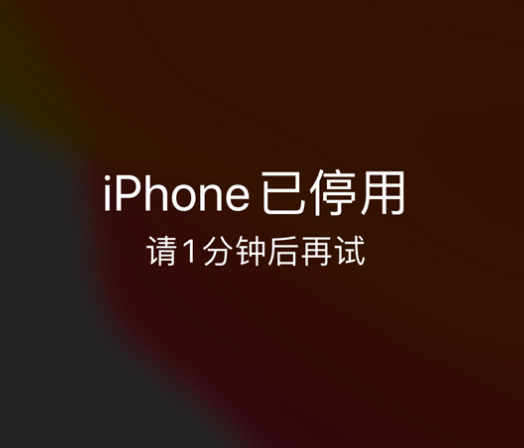 陵水苹果手机维修分享:iPhone 显示“不可用”或“已停用”怎么办？还能保留数据吗？ 