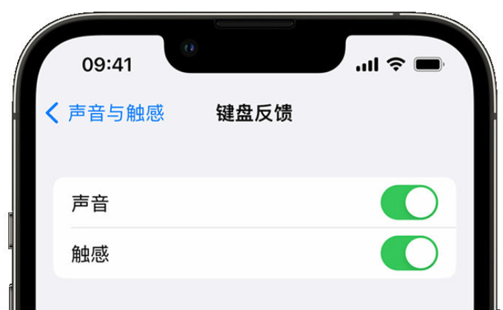 陵水苹果手机维修分享iPhone 14触感键盘使用方法 