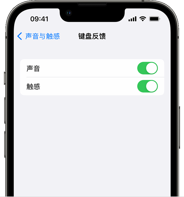 陵水苹果14维修店分享如何在 iPhone 14 机型中使用触感键盘 