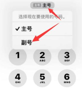 陵水苹果14维修店分享iPhone 14 Pro Max使用副卡打电话的方法 