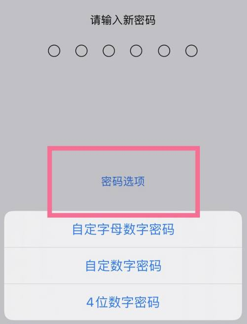 陵水苹果14维修分享iPhone 14plus设置密码的方法 