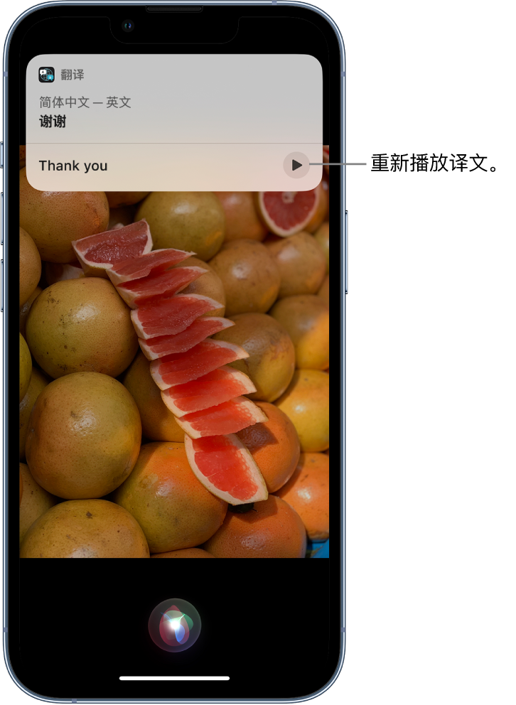 陵水苹果14维修分享 iPhone 14 机型中使用 Siri：了解 Siri 能帮你做什么 