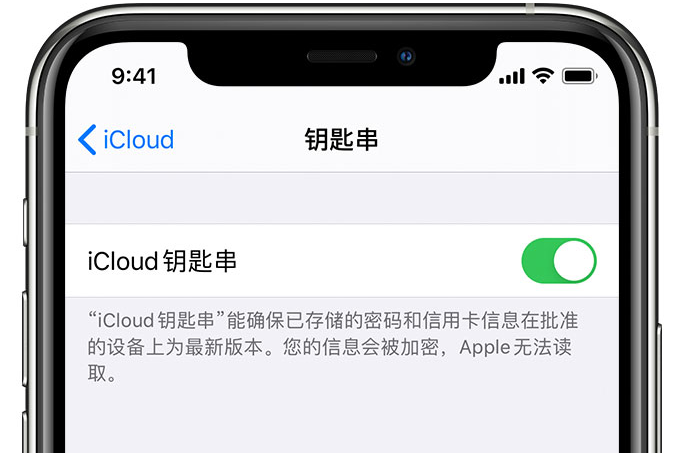 陵水苹果手机维修分享在 iPhone 上开启 iCloud 钥匙串之后会储存哪些信息 