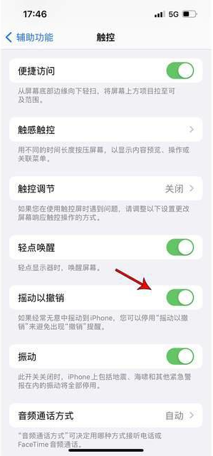 陵水苹果手机维修分享iPhone手机如何设置摇一摇删除文字 